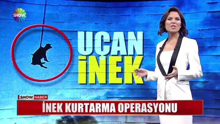 Uçtu uçtu inek uçtu