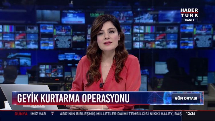 Geyik kurtarma operasyonu: Bolu'da santral havuzuna düşen geyik vinçle kurtarıldı