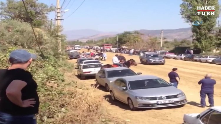 Ödemiş'te iki at çarpıştı... İlginç kaza kameralara yansıdı