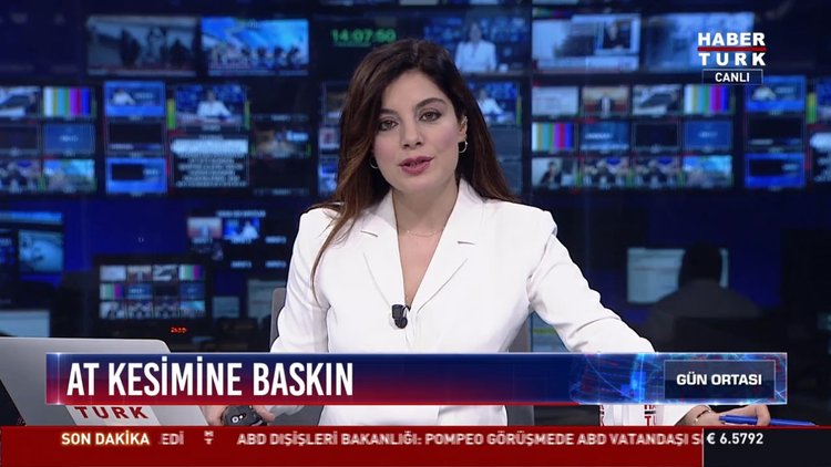 At kesimine baskın: Adana'da tarlada kesilen 400 kilogram at eti ele geçirildi