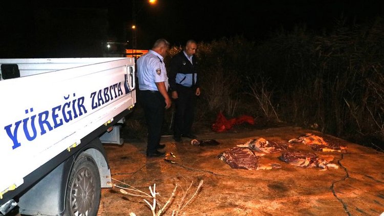 Adana'da gece yarısı baskını! 400 kilogram at eti ele geçirildi