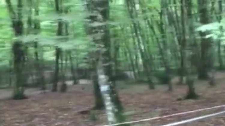 Polis Kayıp Gazeteci Cemal Kaşıkçı'nın izini Belgrad Ormanı'nda arıyor