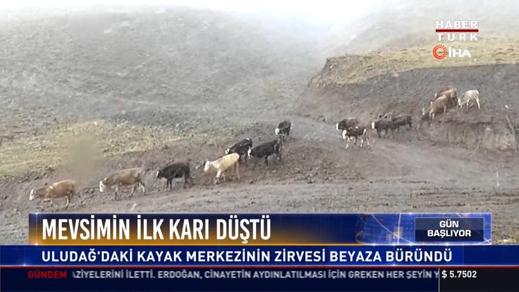 Lapa lapa kar yağdı: Erzurum'un yüksek kesimlerinde kar yağışı etkili oldu