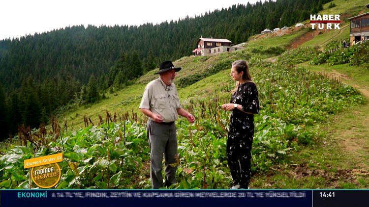 Tadında Hikayeler - 27 Ekim 2018 (Pokut Yaylası)
