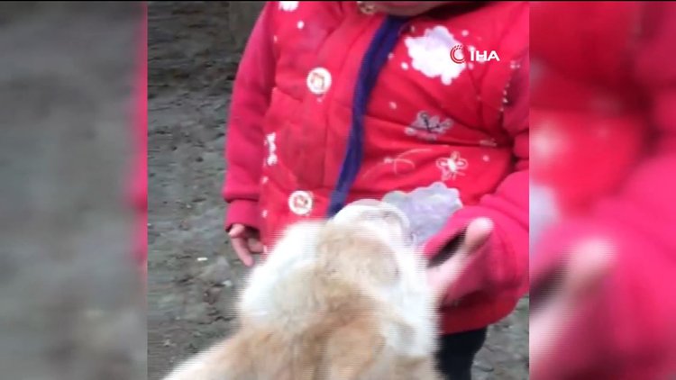 Ağrı'da bebek ile keçi yavrusu gülümsetti