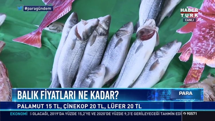 Balık fiyatları ne kadar?