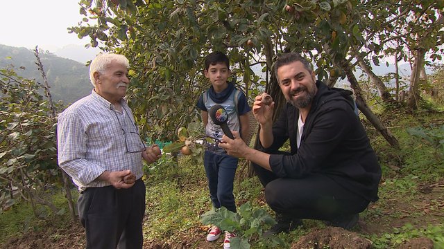 Turgay Başyayla İle Lezzet Yolculuğu 248. Bölüm