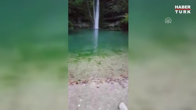 Balık avlayan su samuru ilgi odağı oldu