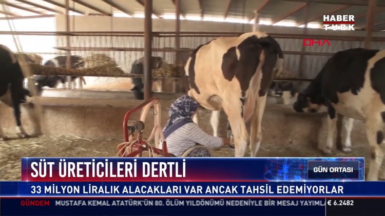 Süt üreticileri dertli: 33 milyon liralık alacakları var ancak tahsil edemiyorlar