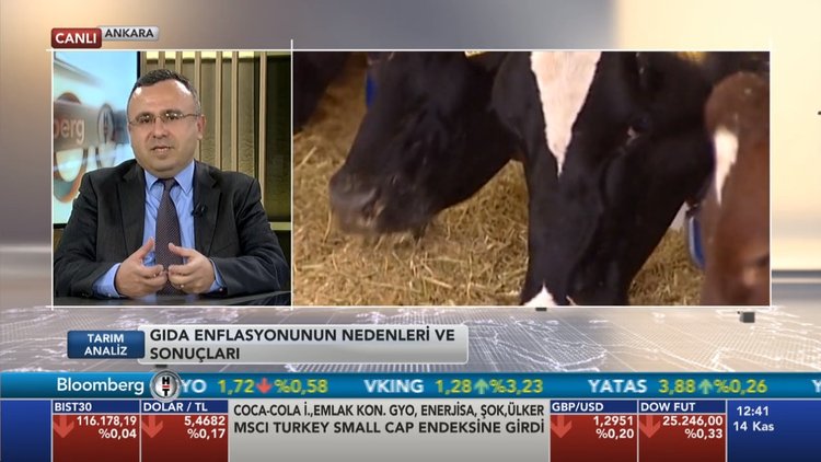 Tarım Analiz - 14 Kasım 2018