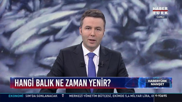 Hangi balık ne zaman yenir?: Hamsi, Çinekop, Lüfer,ve Levrek zamanı