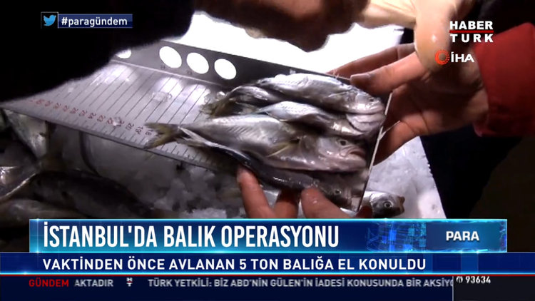 İstanbul'da balık operasyonu