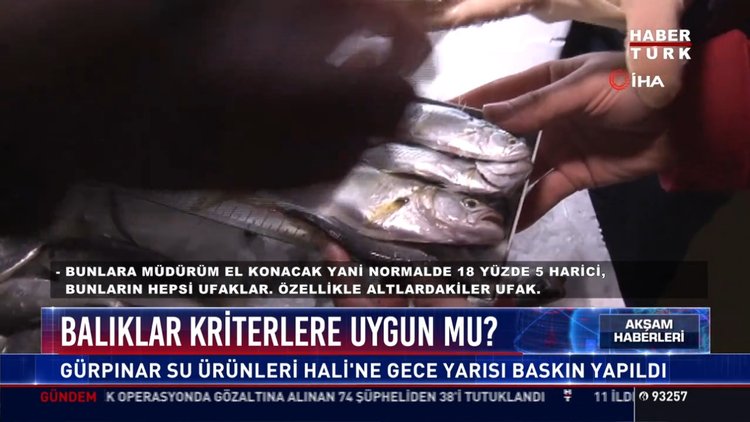 Balıklar kriterlere uygun mu?: Gürpınar Su Ürünleri Hali'ne gece yarısı baskın yapıldı