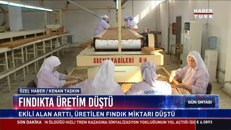 Fındıkta üretim düştü. Ekili alan arttı, üretilen Fındık miktarı düştü