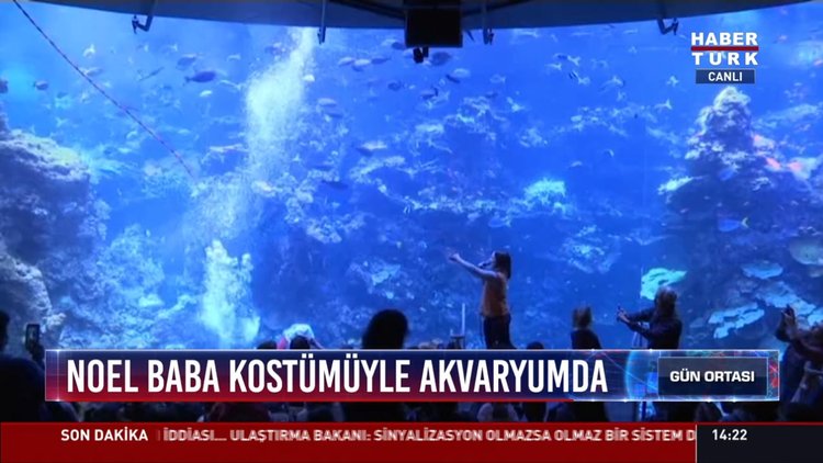 Noel Baba kostümüyle akvaryumda: ABD'de Noel Baba kıyafeti giyen dalgıç balıklarla yüzdü