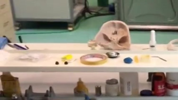 Mucizelere imza atan dünyaca ünlü merkezimiz: METÜM