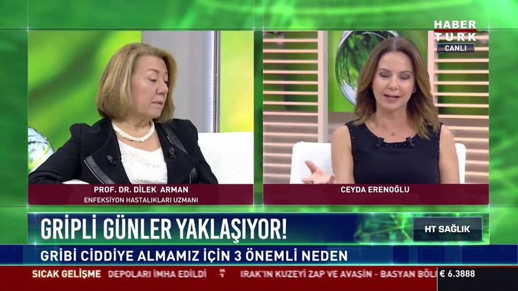 Gribin pik yaptığı dönemler ne zamandır?