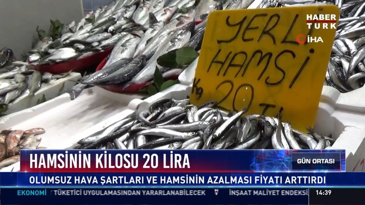 Hamsinin kilosu 20 lira: Olumsuz hava şartları ve hamsinin azalması fiyatı arttırdı