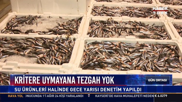 Kritere uymayana tezgah yok: Su ürünleri halinde gece yarısı denetim yapıldı