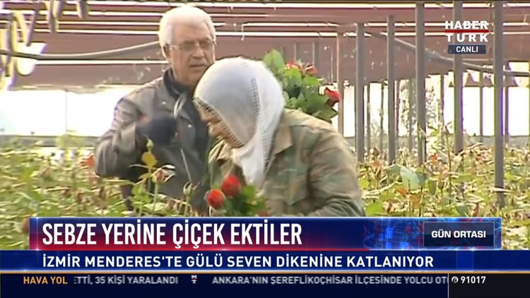 Sebze yerine çiçek ektiler: İzmir Menderes'te gülü seven dikenine katlanıyor