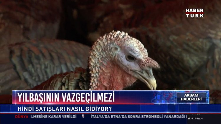 Yılbaşının Vazgeçilmezi: Hindi satışları nasıl gidiyor?