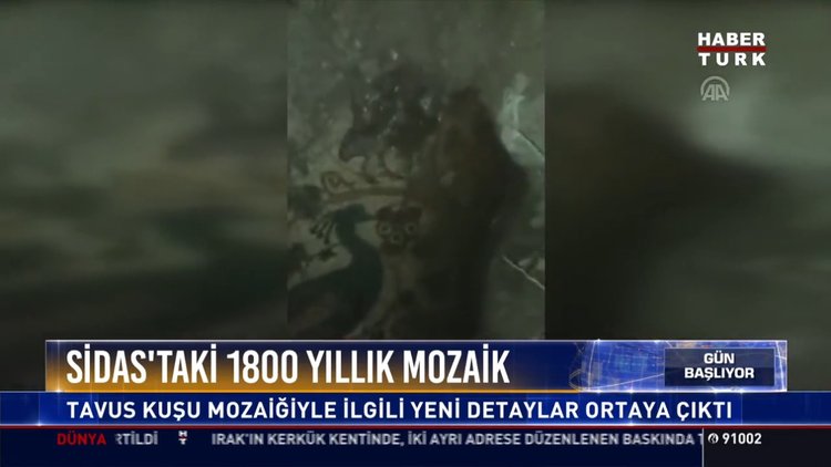 Sidas’taki 1800 yıllık mozaik: Tavus Kuşu mozaiğiyle ilgili yeni detaylar ortaya çıktı