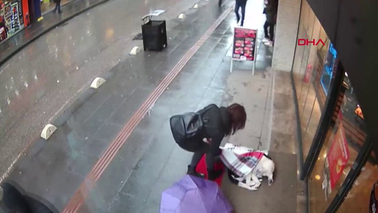 Boynundan çıkardığı şalı sokak köpeğinin üzerine örttü