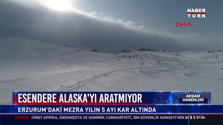 Esendere Alaska'yı aratmıyor: Erzurum'daki mezra yılın 5 Ayı kar altında