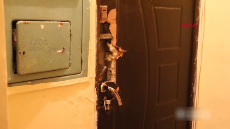 Ukrayna'da 2 Türk kız öğrenci evlerinde ölü bulundu!