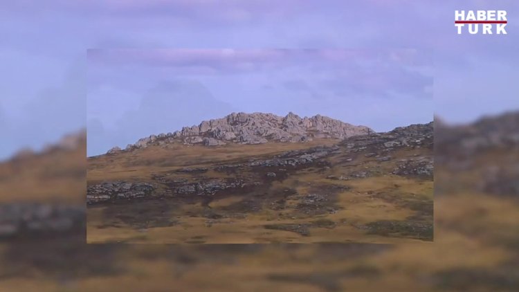 Falkland Adaları Sorunu