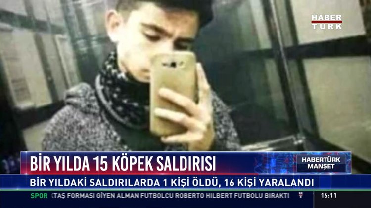 Bir yılda 15 köpek saldırısı: Bir yıldaki saldırılarda 1 kişi öldü, 16 kişi yaralandı