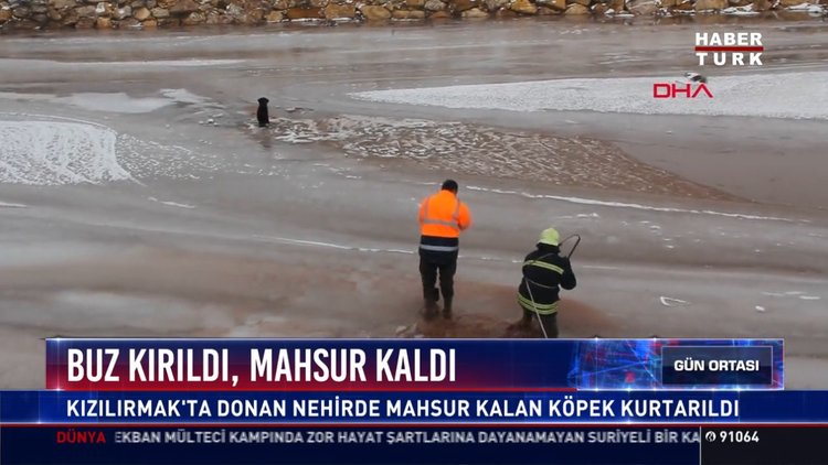 Buz kırıldı, mahsur kaldı: Kızılırmak'ta donan nehirde mahsur kalan köpek kurtarıldı