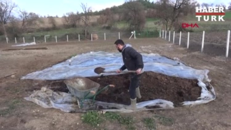 Babasını kanserden kaybedince, organik besin için solucan gübresi tesisi kurdu