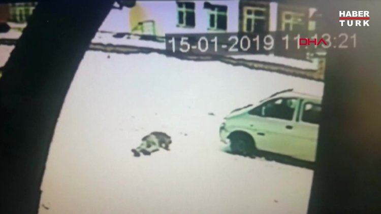 Tatvan'da çatıdan düşen kar kütlesi öldürdü