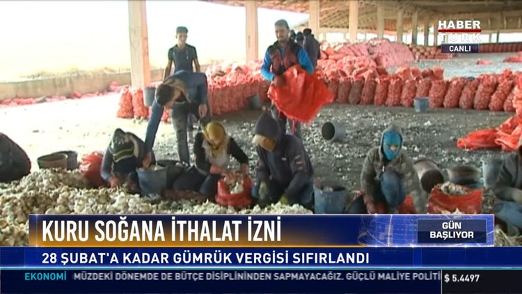 Kuru soğana ithalat izni: 28 Şubat'a kadar gümrük vergisi sıfırlandı