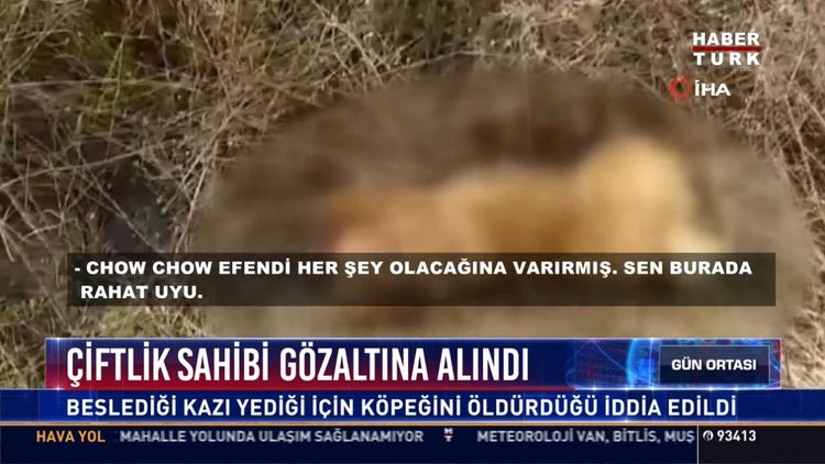 Çiftlik sahibi gözaltına alındı: Beslediği kazı yediği için köpeğini öldürdüğü iddia edildi