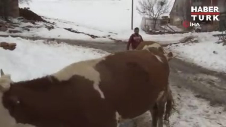 Atanamayan öğretmen adayı çareyi köyünde buldu