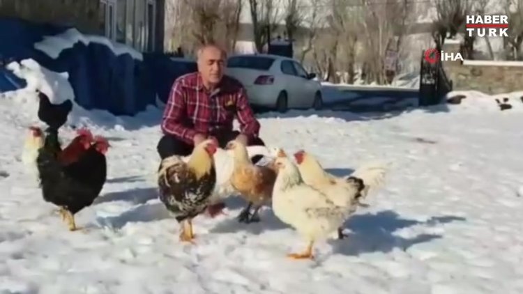 Sabah kazla koşuya çıkıyor, akşam tilki ailesini besliyor