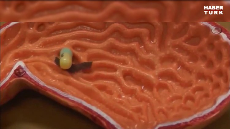 Bilim insanları kendi büyüklüğüne kıyasla büyük yük taşıyabilen tırtıl robot geliştirdi!