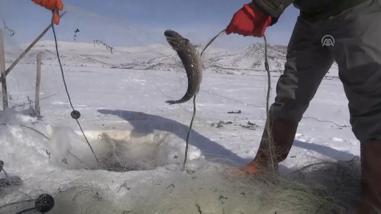 Eskimo usulü balık avlıyorlar