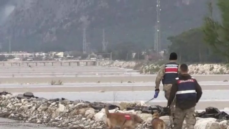 Buse Acarı arama çalışmaları