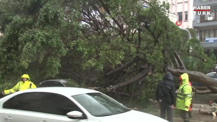 Fırtına ağaçları kökünden söktü, seyir halindeki otomobillerin üzerine devirdi