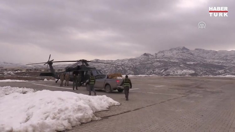 Mehmetçik aç kalan yabani hayvanların imdadına "Skorsky" ile yetişti