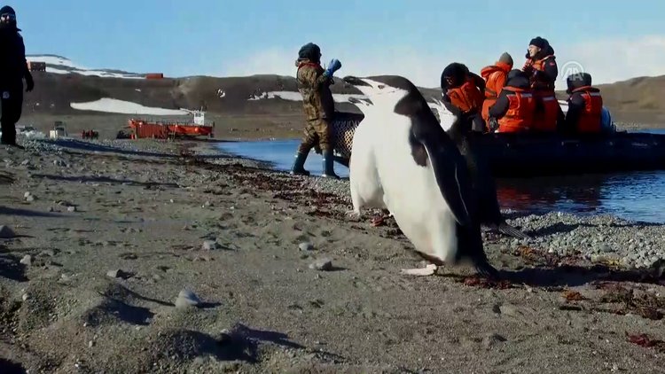 Türk ekibi Antarktika'ya ayak bastı!