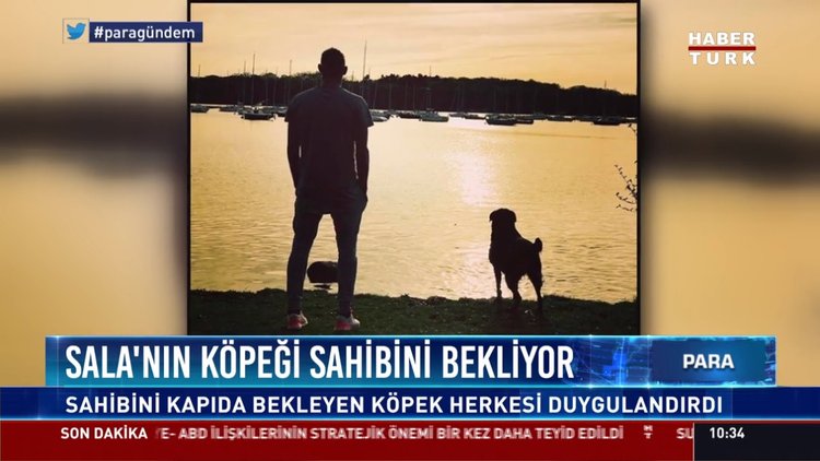Sala'nın köpeği sahibini bekliyor: Sahibini kapıda bekleyen köpek herkesi duygulandırdı