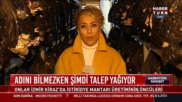 Adını bilmezken şimdi talep yağıyor: Onlar İzmir Kiraz'da istiridye mantarı üretiminin öncüleri