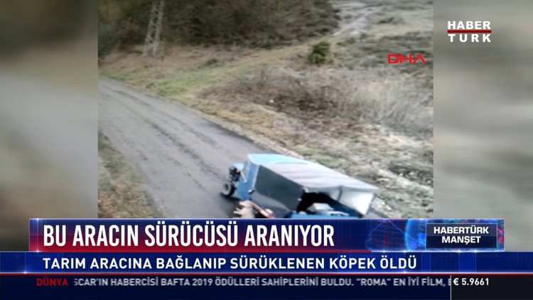 Bu aracın sürücüsü aranıyor: Tarım aracına bağlanıp sürüklenen köpek öldü