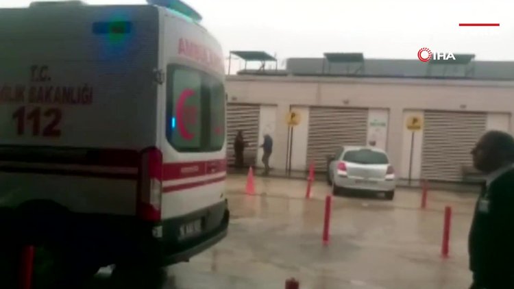 Patronun odasından gelen sese koştular, dehşete düştüler!