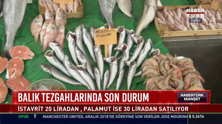 Balık tezgahlarında son durum: Soğuk hava tezgaha nasıl yansıdı, hangi balık kaç lira ?