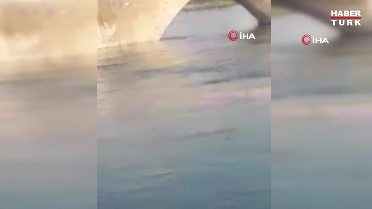 Kız çocuğu köprüden atlayıp kayboldu onlar fotoğraf çektirdi